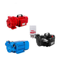 Bomba de Transferencia de Gasolina de Hierro Fundido de Alta Calidad, Motor de CC/CA a Prueba de Explosiones, Baja Presión, 5 HP, Alto Caudal, 10-70 L/min, Cable de 10 m