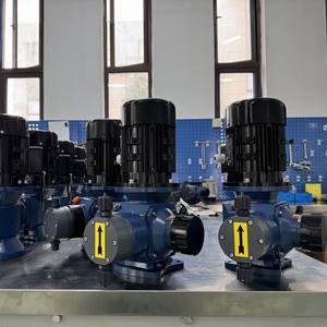 Bomba Dosificadora de Transferencia de Ácido para Tratamiento de Agua con Polímero Inhibidor de Cloro <span class=keywords><strong>PAC</strong></span> <span class=keywords><strong>PAM</strong></span>, 1 Año, 1800LPH - Product Image 5