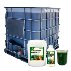 <span class=keywords><strong>Meilleur</strong></span> <span class=keywords><strong>engrais</strong></span> liquide d'algues biologiques avec NPK, stimule la croissance des plantes et améliore le rendement des cultures avec une forte résistance au stress - Product Image 6