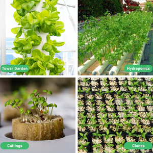 Chất Lượng Cao 30*30*40Mm Rock Len Thủy Canh Cube Với Lỗ Cho Cây Cắt Làm Vườn Nông Nghiệp Vật Liệu Khối Khối - Product Image 5