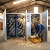 Incubateur d'œufs 12672, meilleur prix, bon marché, taux d'éclosion élevé, couveuse pour usage agricole