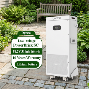 Batterie solaire Dyness PowerBrick SC 16,076 kWh 314 Ah LiFePO4 avec surveillance intelligente, application WiFi, OTA, garantie 10 ans, ESS domestique - Product Image 1