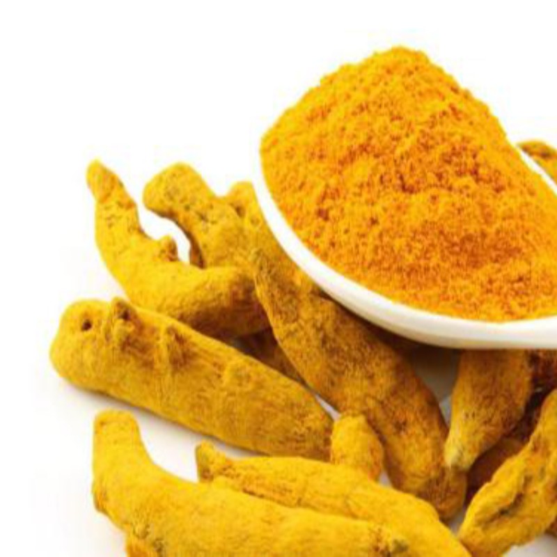 Condimenti e condimenti all'ingrosso dita di curcuma gialla spezie ed erbe miste curcuma naturale di alta qualità per cucinare