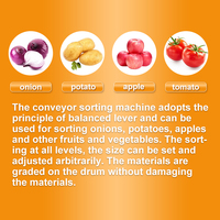 Hot Sales Peer Sorteren Machine Aardappelen Uien Tomaten Zoete Aardappelen Size Sorteren Roller Sorteermachine