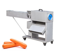 Machine à éplucher les carottes industrielle Dezoton 500W, éplucheur de légumes automatique avec lame tranchante pour la transformation alimentaire commerciale