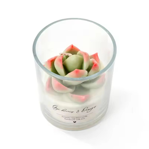 AIKUN Zen Ritüel Aromaterapi Kokulu Mum Botanik Şakayık Yaprakları Doğal Soya Balmumu Cam Kavanoz Mum Yoga Meditasyonu için - Product Image 5