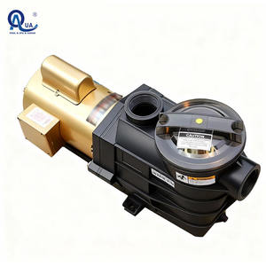 Pompes SP pour piscine de haute qualité Guangdong Water Crown, durables et faciles à installer, garantie 1 an, prix direct usine. - Product Image 2