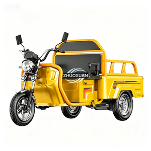 Tricycle électrique à 3 roues, caisse ouverte, moto cargo pour adultes, directement de l'usine - Product Image 2