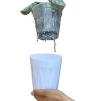 Pot à fleurs pour orchidées en plastique durable, écologique, auto-arrosant, hydroponique transparent, double couche