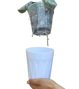 <span class=keywords><strong>Maceta</strong></span> Transparente para Orquídeas, Hidropónica, con <span class=keywords><strong>Autorriego</strong></span>, Ecológica, Duradera, de Plástico de Doble Capa - Product Image 2