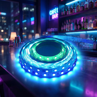 Bande lumineuse LED RGBIC RGB flexible DC24V SMD5050 12W/m 10 pixels SPI à changement de couleur décorative pour éclairage intérieur et éclairage de bar