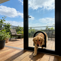 Porte en verre pour chien, cadre en acier durable, double couche isolante, verre trempé, indeformable, facile à nettoyer, résistant au vent