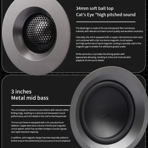 Sa90 HiFi Mini Loa kệ sách Loa trường hợp bằng gỗ thụ động none-pin lossless bluetooth - Product Image 5