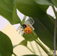 Pinces d'orchidées en plastique, 12 pièces, pinces de Support des plantes de jardin, pour le Support des fleurs
