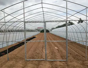 Filme plástico com efeito de Estufa agrícola multi-span arch estufa estufa de tomate e morango projeto turnkey