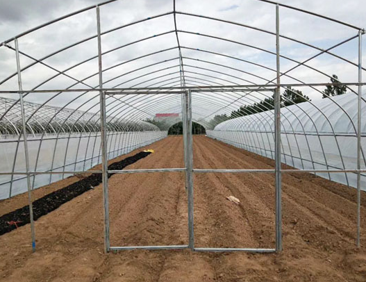 High Tunnel Film Covered Tomato Greenhouse