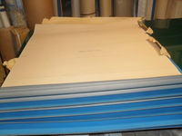 Plaque d'impression offset en caoutchouc Promega, positive, pour impression sur couverture, CN