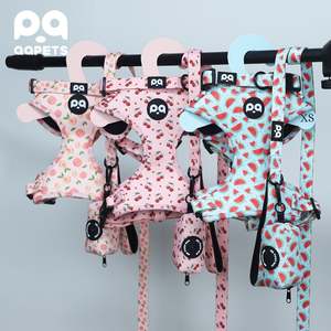 <span class=keywords><strong>2025</strong></span>年新作カスタム高級ペット犬用ハーネスセットメーカー調整可能パーソナライズロゴ付きノープル犬用ハーネス首輪リード - Product Image 3