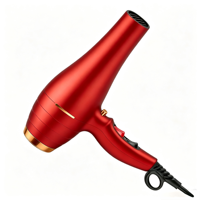Sèche-cheveux électrique professionnel haute puissance 1800W avec moteur DC, pliable, avec embout concentrateur, pour salon, maison, hôtel