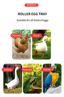 WONEGG Incubateur d'œufs moins cher, capacité 400 œufs, 500 cailles, incubateurs automatiques pour l'éclosion des œufs