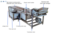 Automatische belletjeswasmachine voor groenten, fruit, vis, vlees en voedselverwerkingsfabrieken