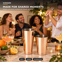 Ensemble de shakers à cocktails Boston de 700 ml et 600 ml pour bar à domicile, mixologie pour débutants, fêtes et préparation de cocktails au quotidien
