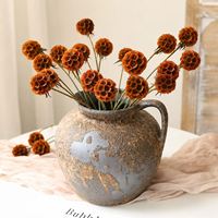 Capullos de Scabiosa Stellata Preservados, 10 Tallos, Ramo de Flores Secas Coloridas Hechas a Mano para Decoración de Bodas y Hogar