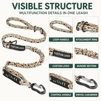 Nouvelle Saison : Laisse pour chien imprimée avec section élastique, anneaux de contrôle et mousqueton pivotant pour les accessoires de promenade quotidiens