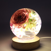INTODIY Moule en silicone pour boule de cristal sphérique intégrée avec compte-gouttes en résine époxy et fleurs séchées, effet miroir