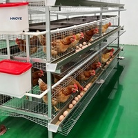 Cage à poulets de type H à 4 niveaux, galvanisée à chaud, pour 128 oiseaux, alimentation automatique