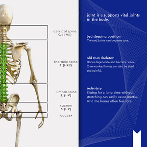 ครีมบรรเทาอาการปวดที่ข้อต่อไหล่20กรัมครีมบรรเทาอาการปวดกระดูกสันหลังและหัวเข่า - Product Image 6