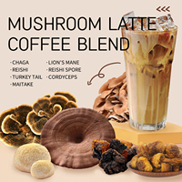 GANOHERB Promotion Exceptionnelle : Chocolat Chaud aux Champignons Personnalisé en Gros avec Extrait de Reishi, Fabriqué avec des Ingrédients Biologiques Premium pour Fourniture OEM