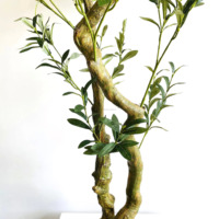 Plantes en pot en plastique de 90 cm, 120 cm, 150 cm, 180 cm, 210 cm, 240 cm, décoration d'intérieur artificielle, faux olivier