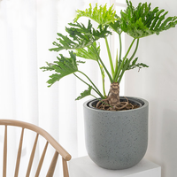 Pots à fleurs en ciment légers et écologiques de style cylindrique nordique pour une utilisation en intérieur/extérieur à la maison