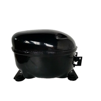 Compresor de Motor para Refrigerador Inverter de Cobre R134a de Alta Calidad en Oferta, 220V/50HZ/60HZ, 1 Año de Garantía
