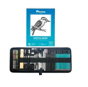Bview Art New Arrival 50 Piece Graphite Drawing Sketching Kit for Artist Drawing and Sketching