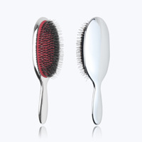Ensemble de brosses à cheveux ioniques pour femmes, brosse à cheveux en nylon antistatique à picots de sanglier, placage électrolytique argenté