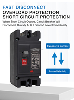 DC MCCB boîtier disjoncteur interrupteur à air Protection contre les surcharges 100A 125A 250A 500V 750V 1000V 2P boîtier moulé à usage électrique