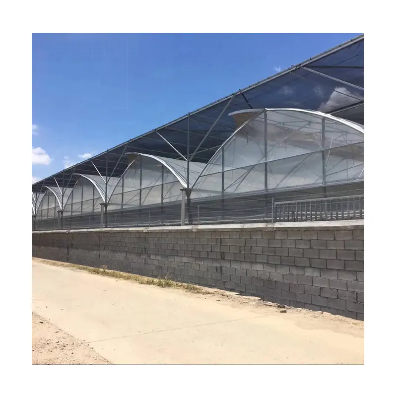 agricultural skeleton multi-span stable structure type polycarbonate sheet greenhouse for plant cultivation