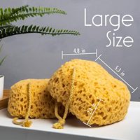 Éponge de Douche en PU Réutilisable pour Hôtels et Spas, Grande Taille, Exfoliation Douce, Mousse Abondante, avec Corde de Suspension, Vente en Gros CF, OEM
