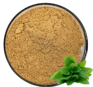 Заводская поставка растительного экстракта, Экстракт Мелиссы 10:1 мелиссы, экстракт листьев, порошок - Product Image 1