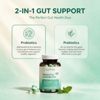 Gummies prébiotiques et probiotiques à marque privée, véganes, à la pectine, pour la santé intestinale, l'équilibre digestif, le renforcement immunitaire, saveur naturelle de baies