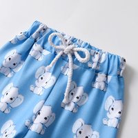 Vêtements pour nouveau-né garçon, manches longues, imprimé éléphant de dessin animé, pantalon, chapeau, ensemble de tenues 3 pièces
