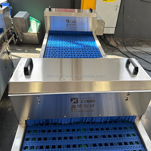 Machine à écailler le poisson Ribbonfish, machine à écailler et à abattre le poisson, machine à abattre le poisson Hairtail - Product Image 4