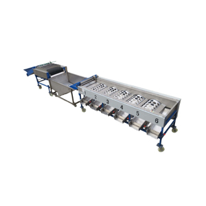 Orange Fruit Sorting Machine Fruit Vegetable Sorting Machine Fruit Sorting Machine Conveyor Belt - Product Image 1