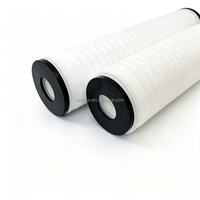 Cartouche filtrante plissée en PP de 10 pouces, fabricant DOE, 0,2 micron, pour filtration d'eau industrielle