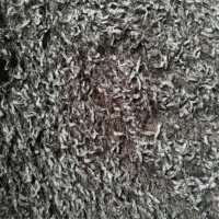 Tissu de velours de plumes tricoté de luxe en peluche de poids moyen pour la maison Textile sac manteau produit à la mode
