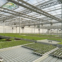 Structure de serre agricole pour tomates/laitues avec système hydroponique, certification CE
