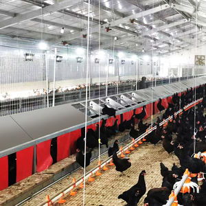 Boîte à œufs automatique pour l'élevage des œufs, plancher pour l'éclosion - Product Image 2