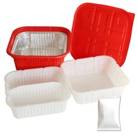 Conteneur alimentaire auto-chauffant avec pack chauffant pour repas chauds, MRE, camping